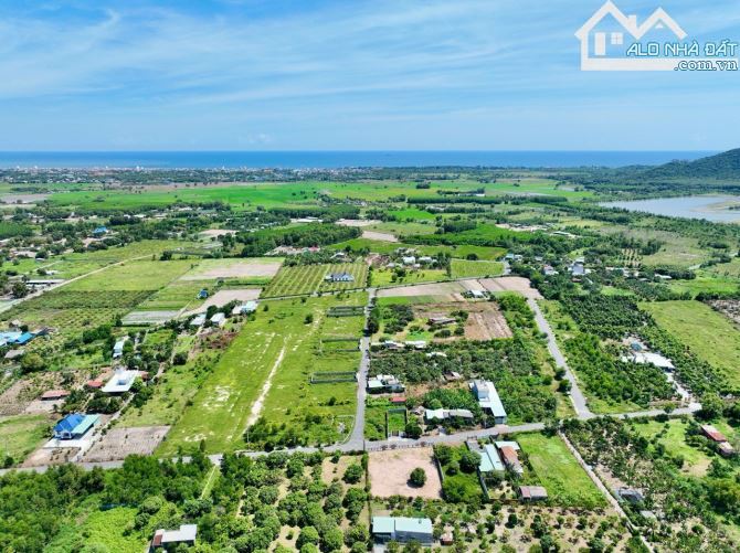 🌟 BÁN ĐẤT THỊ TRẤN PHƯỚC HẢI - ĐẤT ĐỎ - BÀ RỊA VŨNG TÀU 🌟 - 1