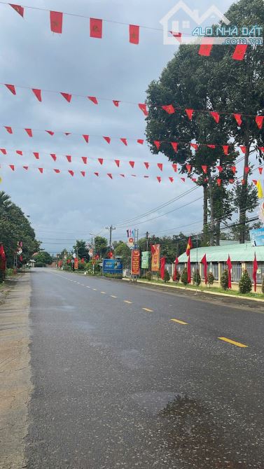 CHỦ NGỘP BÁN GẤP NHÀ VƯỜN RỘNG 2500M2 THỔ CƯ SHR CÓ SẴN CÂY ĂN TRÁI - 1