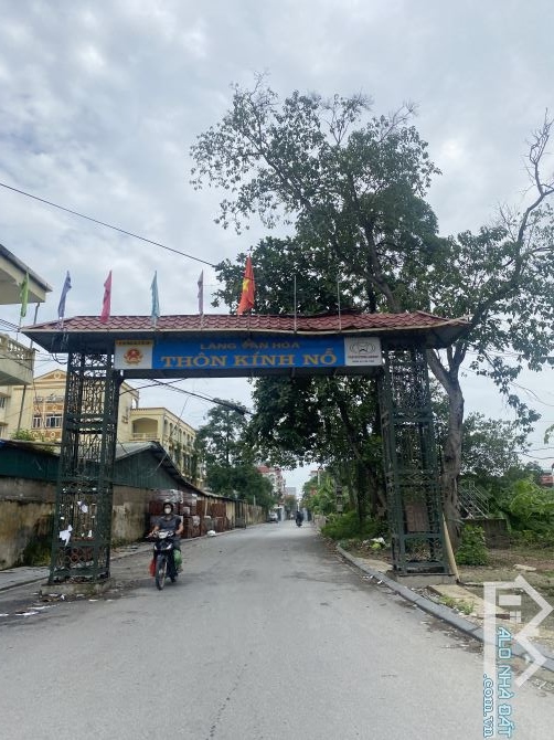 BÁN GẤP LÔ ĐẤT 99m2 TRỤC KINH DOANH TẠI THƯ LÂM, HÀ NỘI. - 1