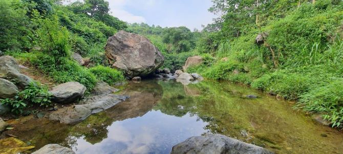 Siêu hiếm_Lô đất bám suối chảy quanh năm tại Yên Bài Ba Vì_1,8ha chỉ nhỉnh 2tr/m2 - 1