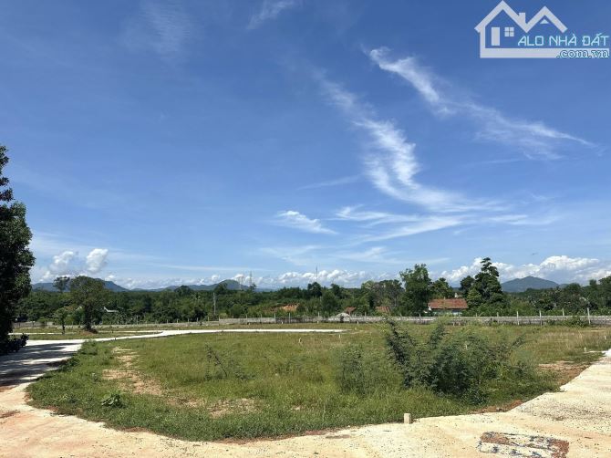 Khu Dân Cư Dạ Lê - Đầu Tư Hấp Dẫn Sinh Lời Liền Tay - 1