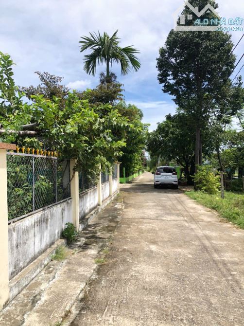 Bán 265m² đất Hòa Khương – ngay ngã tư QL14B & Đông Phú 2 – chỉ 1.6 tỷ - 1