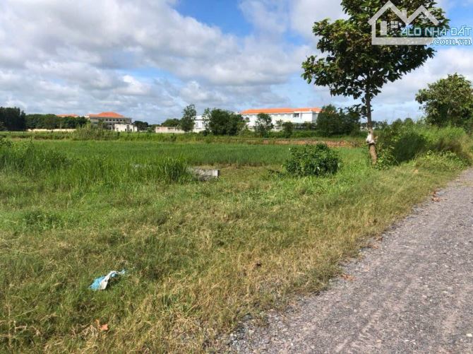 CHỦ GỬI BÁN LÔ ĐẤT TẠI XÃ TÂN AN HỘI 134m2 - 1
