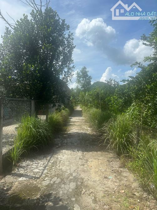 💰 Chỉ hơn 200 triệu sở hữu gần 200m² đất Phường Phong Điền – Cách tỉnh lộ chỉ 100m! 💰 - 1