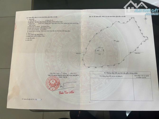 BÁN MẢNH RỪNG SẢN XUẤT 12 HECTA ĐÃ TRỒNG KEO ĐƯỢC 3 NĂM - 1
