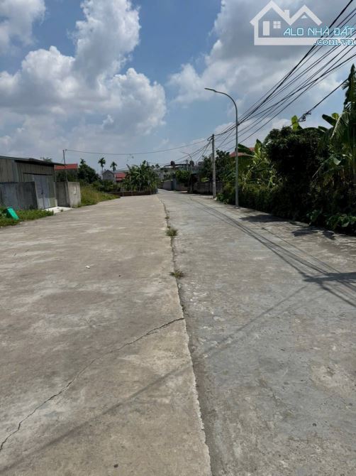 Lô góc đấu giá Thôn hạ An Hưng 🚗đường 4 ô tô đỗ - 1