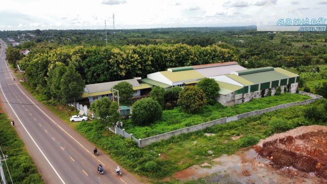 CẦN TIỀN BÁN GẤP KHO XƯỞNG KIÊN CỐ – VỊ TRÍ ĐẸP, MẶT TIỀN TỈNH LỘ 1 BUÔN ĐÔN - 1