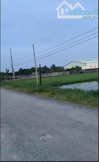 lô đất cách Vin Hậu Nghĩa 2km, 10x28, giá cực tốt, full thổ . SS giao dịch. - 1