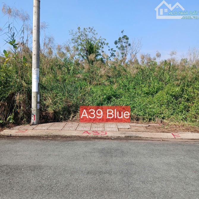 BÁN ĐẤT NỀN KDC "BLUE" ĐƯỜNG SỐ 8 F LONG PHƯỚC THÀNH PHỐ THỦ ĐỨC 2,060 TỶ - 1