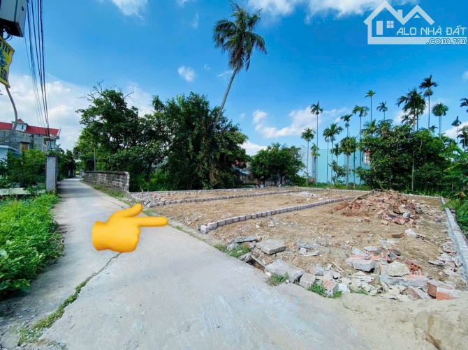 80m2 Tuyến 2 Đường 203, Ngay Chợ Hoa Động, Đường Thông nay chỉ 2,2xx tỷ - 1
