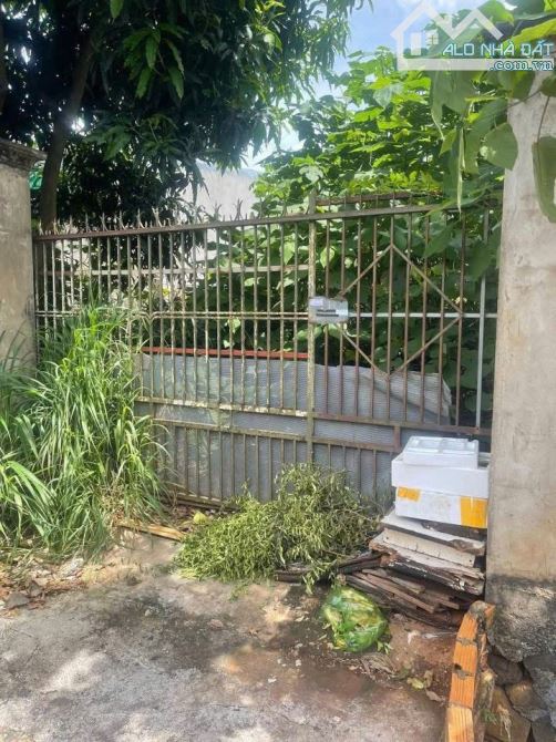 2 LÔ LIỀN KỀ MẶT TIỀN LƯƠNG THẾ VINH: Giá 9 tỷ - 1