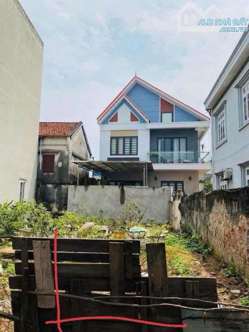 Bán 50m2 đất Liên Ninh - Thanh Trì, ô tô tải vào đất, Siêu hiếm - 1