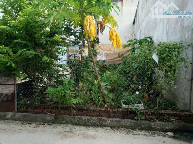 🔥🔥 bán lô đất đẹp rực rỡ thôn hậu dưỡng ngõ thảm nhựa gần ô tô - 1