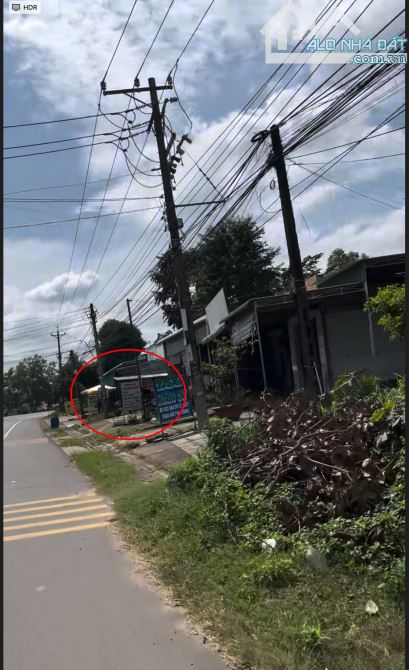 Bán đất 362m² (5m ngang) có nhà cấp 4, mặt tiền TL766, Xuân Thành Xuân Lộc - 1
