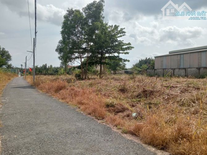 Đất gia đình , Ngay Xã Long trường Quận 9 ( giờ thành Quận 2 mới )  -Giá:485 tỷ chính chủ - 13