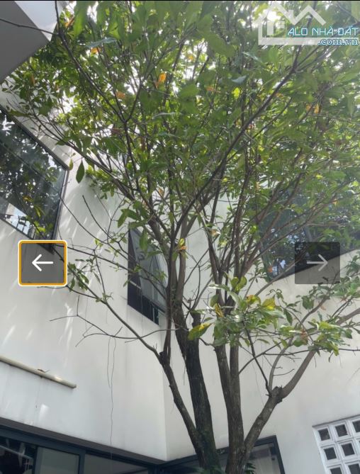 Nhà HXH Chuyên Dùng 9_ Phú Mỹ, Q7. DT 214m2. 3 tầng (7.5m x 29m). Giá 23 Tỷ. - 15