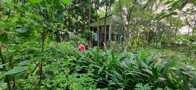 Bán biệt thự sân vườn siêu rộng 4.500 m², tính ra chưa đến 30 triệu một mét, - 18