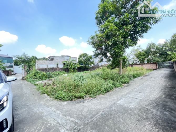 Bán Đất - Đan Tảo(Tân Minh) - 81M2 Full Thổ Cư - 1,85Tỷ - 2
