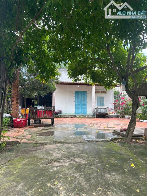 Bán 10m x 44m đất thổ cư Đường Tô Hiến Thành, Tân Hải, LaGi giá rẻ - 2
