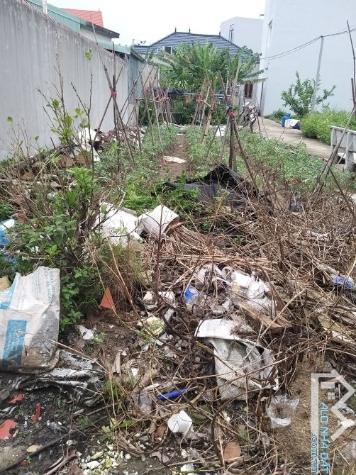 Bán 58m2 đất ngõ 3m 389 Đằng Hải, Hải An DT: 58m, mt 4,3m, khu dân cư đông dân, cách mặt n - 2
