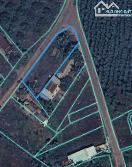 6x46 hai mặt tiền đường nhựa, cách chợ trường học 850m, cách đường nối KCN Tân Đức 550m - 2