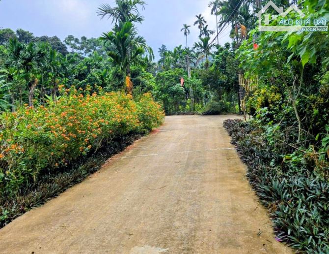 Đất rẻ Minh Quang, Ba Vì, 558m, 150m tc, tựa núi, view đồng, đường oto thông, chỉ 1.55tỷ - 2