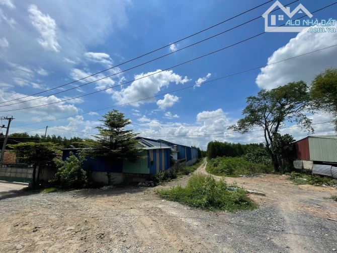 Bán lô đất 1.3mẫu ( 13.000m2 ) Xã Thiện Tân Vĩnh Cửu - 2