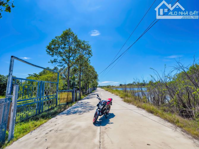 🌴 BÁN ĐẤT - HẺM HÙNG VƯƠNG - (42 x 722) - QUY HOẠCH ONT 100% - CHỈ 40 TỶ 🌴 - 2