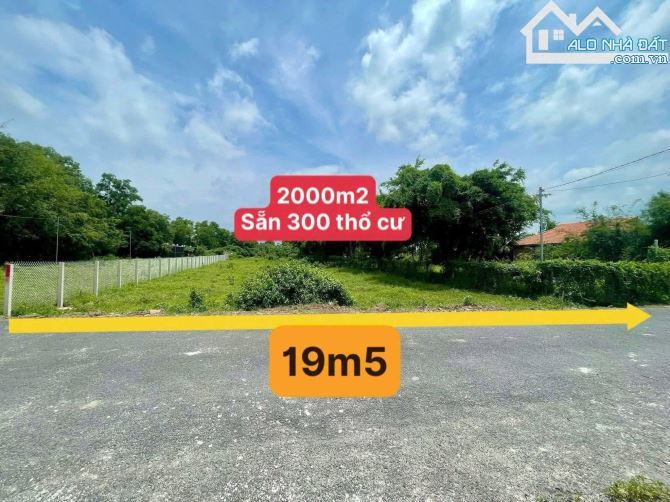 🌴Đất 2.015m² có 300TC📍Cách TL44B chỉ 150m – Gần biển Phước Hải – Giá 5,7 TỶ - 2
