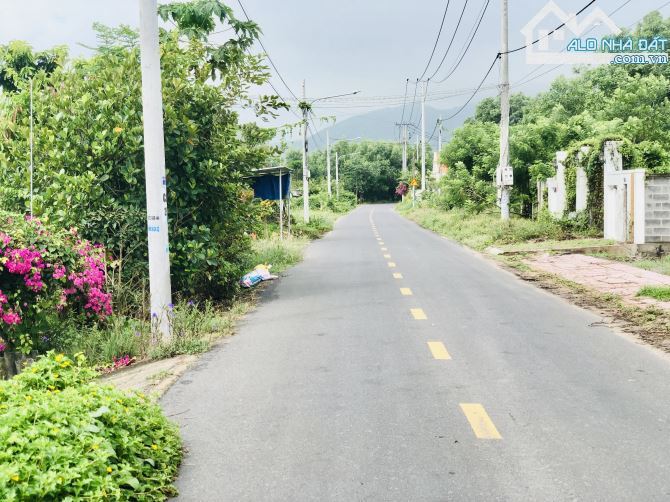 📍Phước Hải - 480m² 🌿368TC–27m MT Nhựa–Hướng ĐN Mát–Gần biển–Chỉ 5,2 TỶ - 2