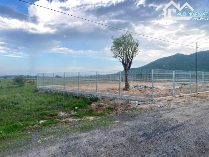 🌅Siêu Vip Gần Biển Phước Hải🌾689m²–300TC–View Núi & Cánh Đồng–Chỉ 4,2 TỶ - 2
