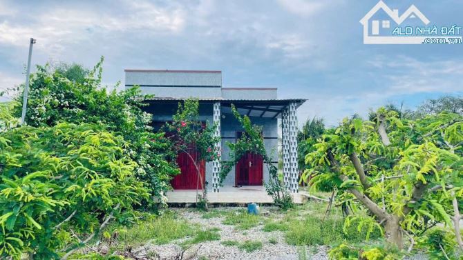 🏡Bán Đất Tặng Nhà Vườn🌴15m MT Nguyễn Hữu Cảnh – Cách Biển 3km – Giá 5,3 Tỷ - 2