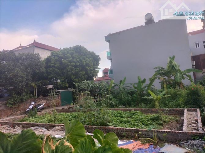 BÁN ĐẤT HỘI PHỤ ĐÔNG HỘI ĐÔNG ANH - 2
