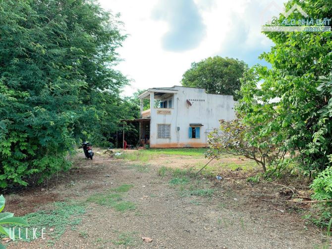 Bán 36600m2 đất (3.66 ha) tại xã Sông Xoài, TX Phú Mỹ - BRVT, đường vào 10m. Giá 37 tỷ(1tr - 2