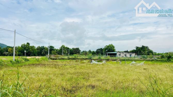 🌿 Lô Góc 2 Mặt Tiền Ngay Glamping Đồng Gió – Cách Biển 2km – DT 1.710m² - 2