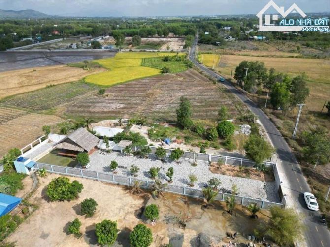 💥 Đất Thị Trấn Phước Hải - Mặt Tiền Đường Nhựa - 877m² - Giá 6,2 tỷ 💥 - 2