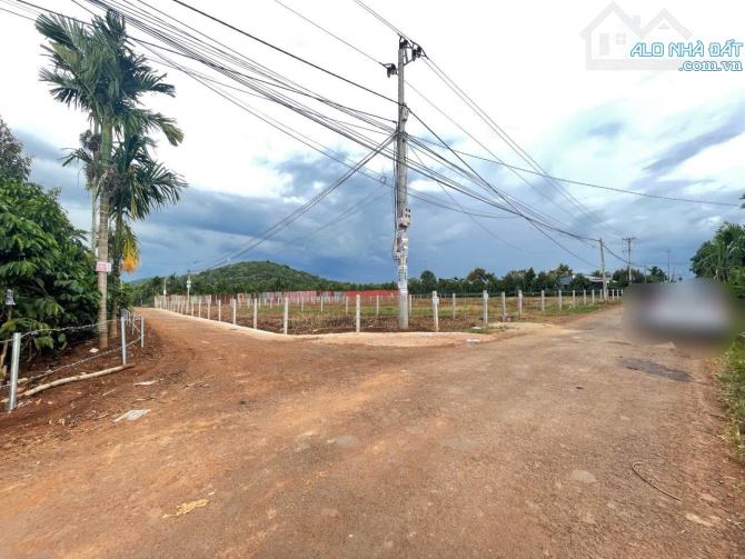 🔥 SIÊU PHẨM GÓC 2 MẶT TIỀN TRỤC CHÍNH KOM LEO – P. TÂN LẬP 🔥 💥 GIÁ RẺ BÈO – CƠ HỘI CỰC - 2