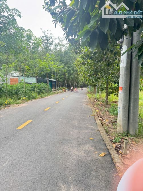 chính chủ cần bán gấp 500m2 sát chợ - 2
