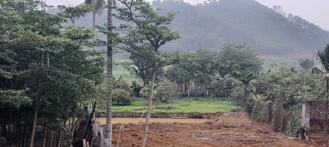 1.216M2 ( 5,5 TỶ ) VIEW CÁNH ĐỒNG TRONG ĐẤT CÓ AO - 2