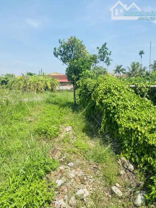 Cần bán 767m² đất mặt tiền 12.6m, nở hậu, có quy hoạch mở đường – cơ hội đầu tư cực hiếm - 2