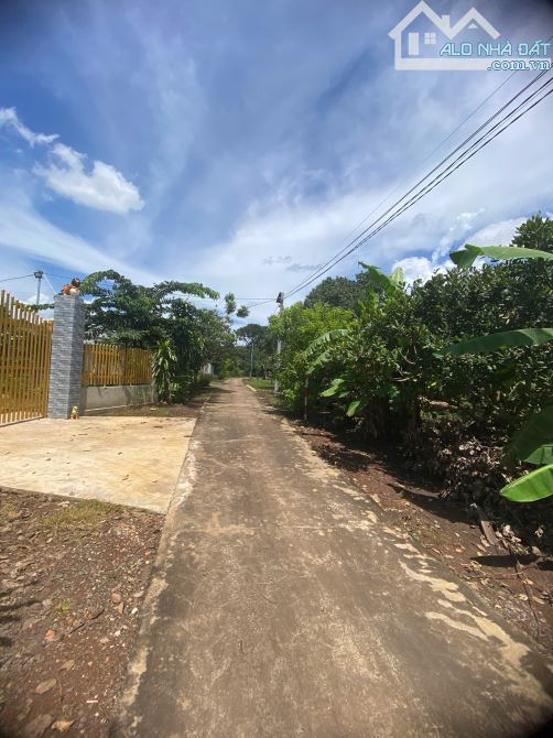 Đất quy hoạch khu dân cư – 4.036m² Thừa Đức, Đồng Nai, giá đầu tư cực tốt! - 2