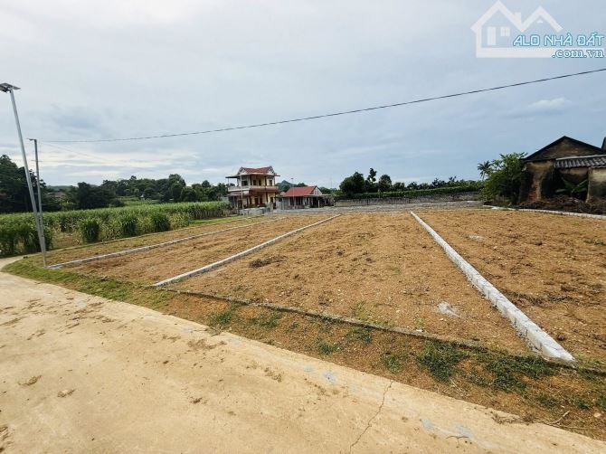 Cần bán 450m đất thổ cư đã tách ra 3 sổ riêng tại xã Thành Minh Thạch Thành Thanh Hoá - 2