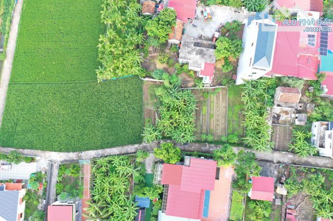 Cần chuyển nhượng lô đất 1050m2 Minh Tân Kiến Thụy Hải Phòng - 2