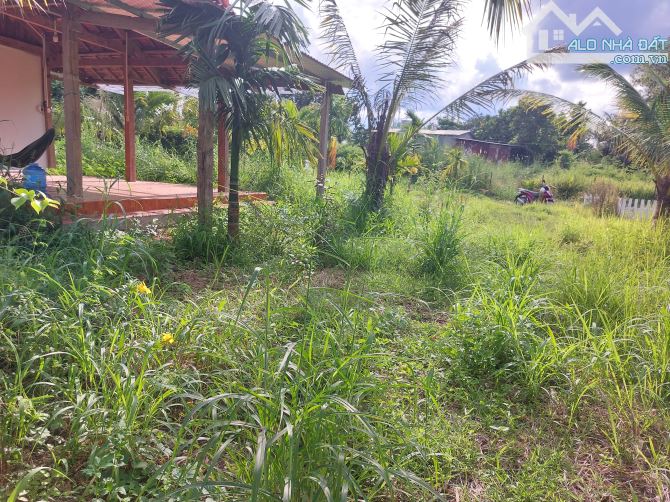 BÁN 5,6 SÀO NHÀ VƯỜN HÒA KHÁNH - BMT - 2
