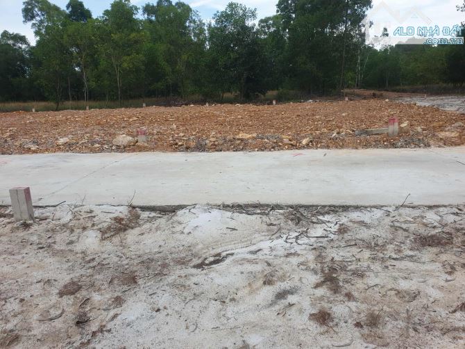 đất Phú Đa 2 mặt thoáng gần khu công nghiệp giá siêu rẻ chỉ 399tr - 2