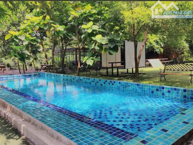 Bán biệt thự sân vườn siêu rộng 4.500 m², tính ra chưa đến 30 triệu một mét, - 2