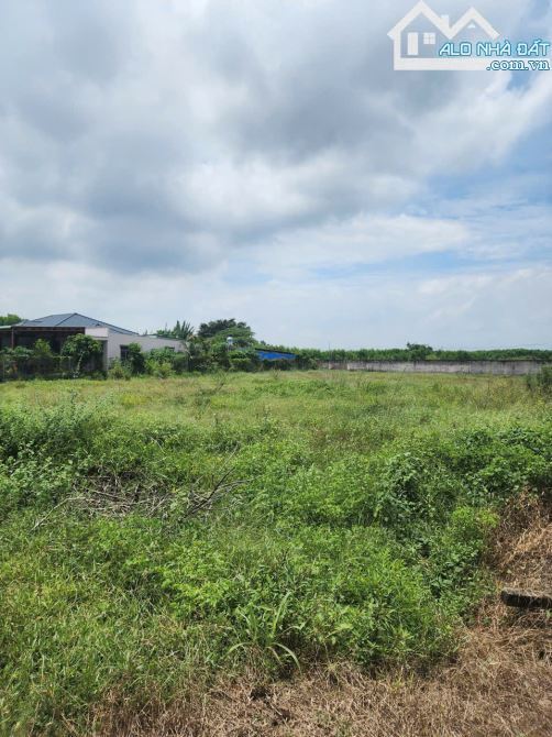 🌟 Lô Đất 2 Mặt Tiền Xã Phước Hải - 2300m², Đông Nam, Giá 11 Tỷ 🌟 - 2