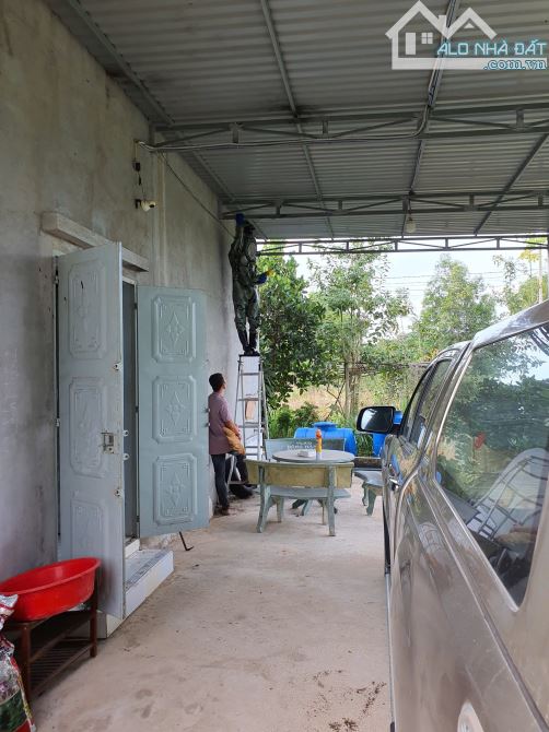 Hơn 1 mẫu nhà Yến và vườn trái cây đang thu hoạch Yến - 2