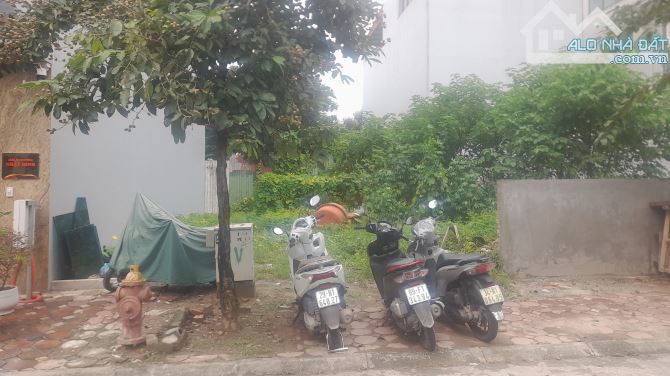 Bán đất nguyễn mậu tài Trâu quỳ gia lâm .dt 95 m2 giá nhỉnh 17 tỷ. - 2