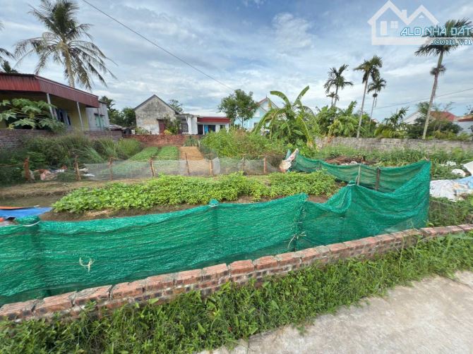 Bán đất Tân Phong - Kiến Thụy - Hải Phòng - 2